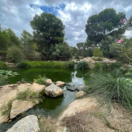 Lägenhet Casa Amarela Guesthouse, Algorfa